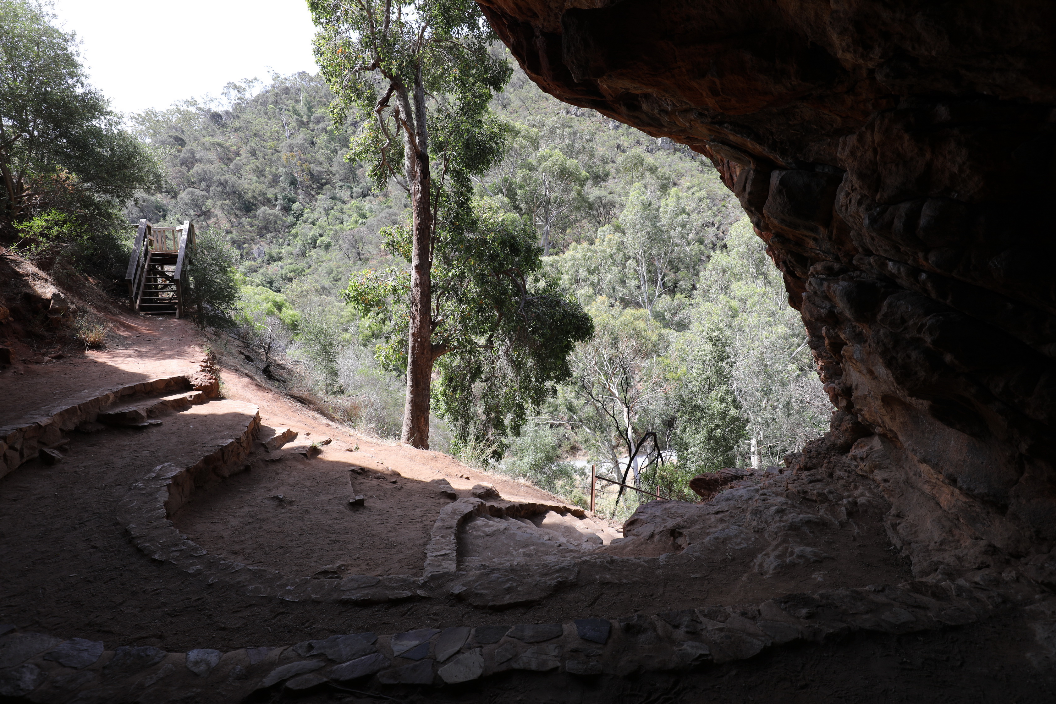 2019 12 08 15 49 29 Canon EOS 5D Mark IV 0046